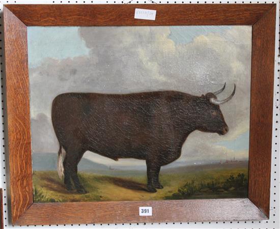 Oil on canvas of a bull